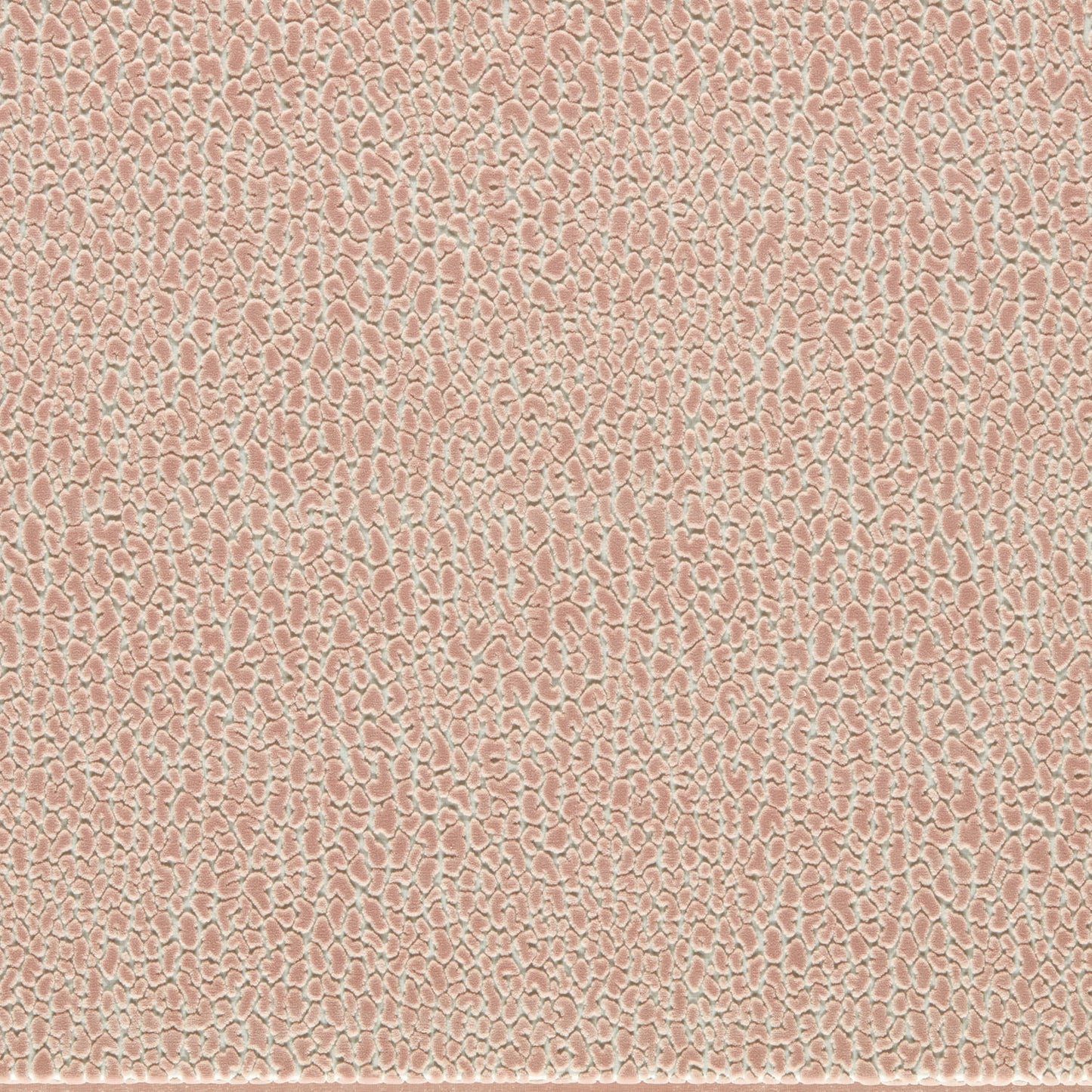 Lacuna