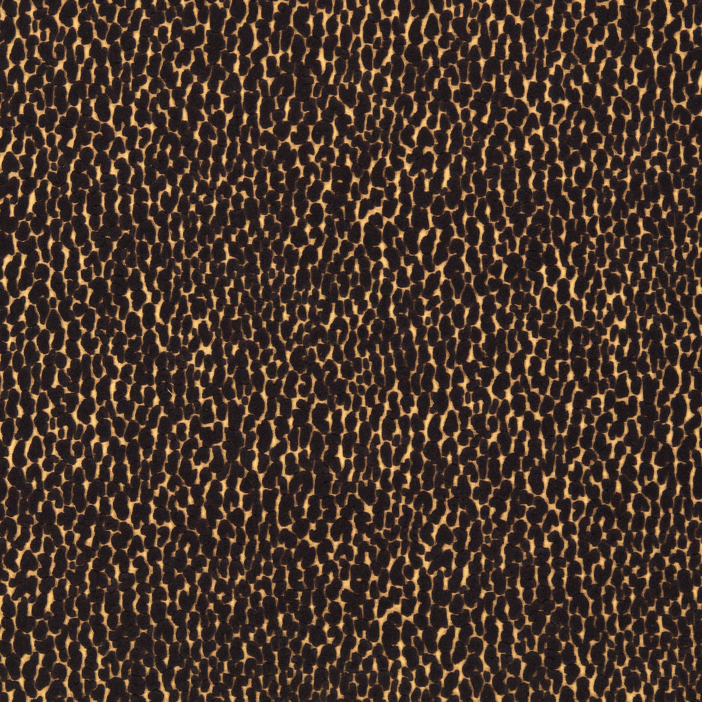 Lacuna