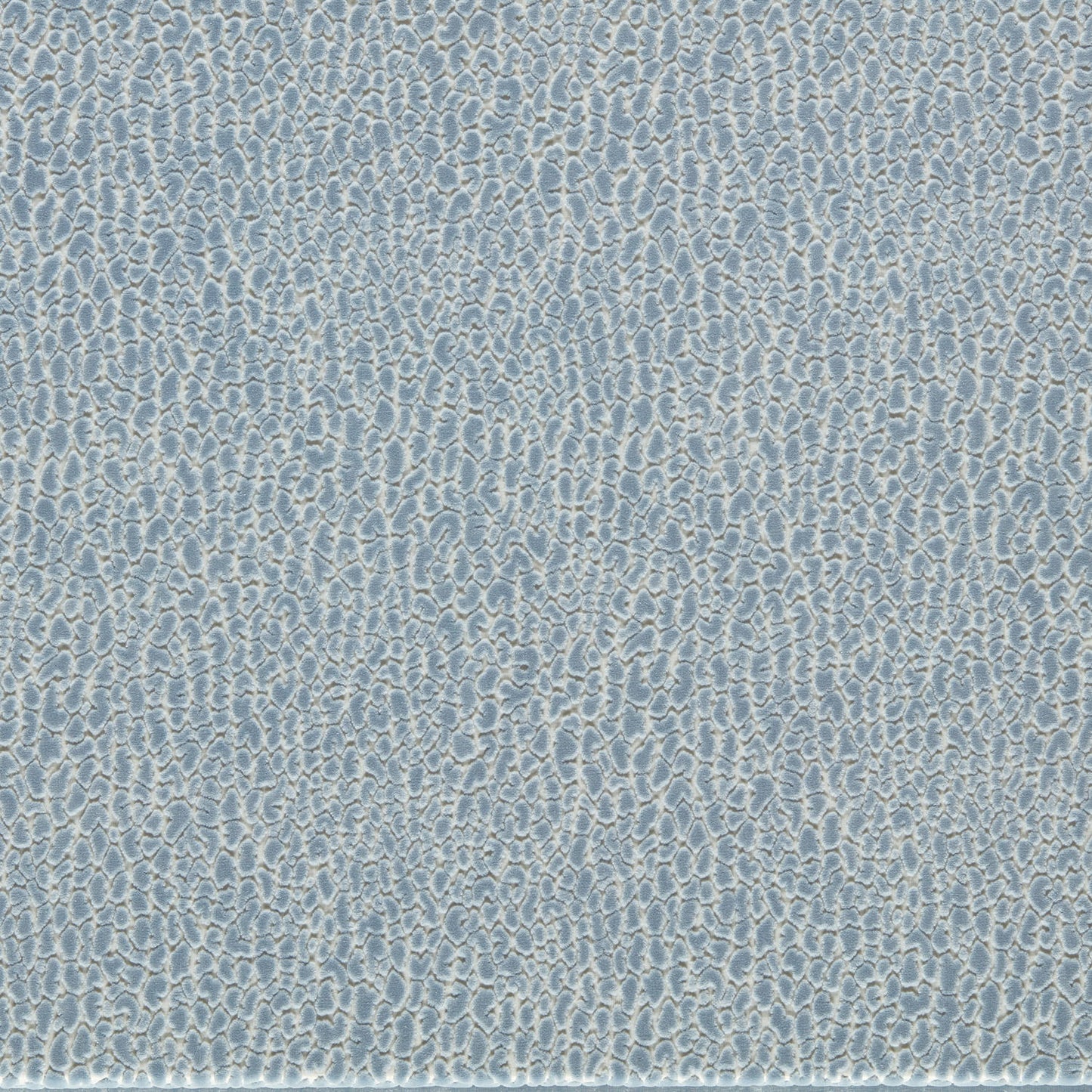 Lacuna