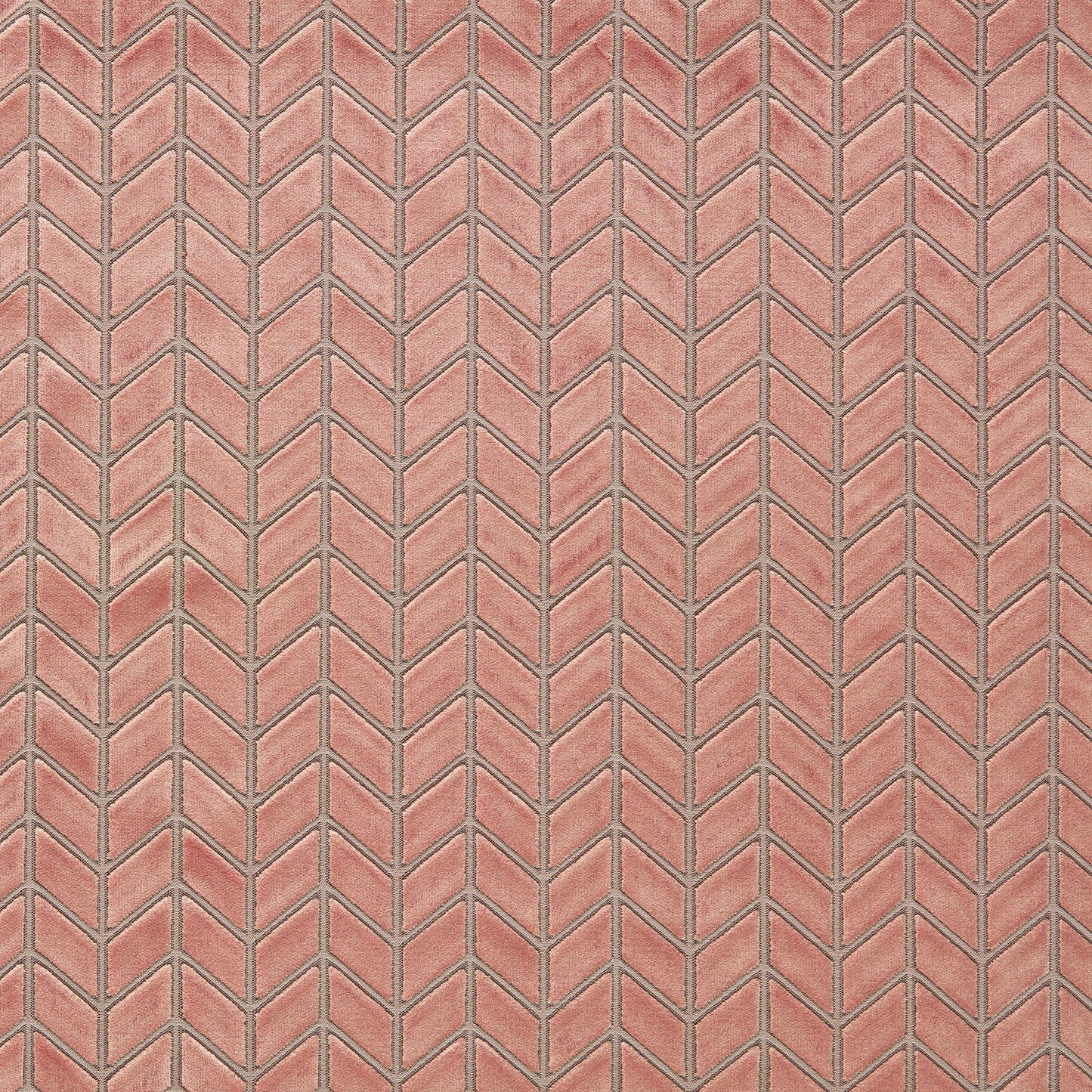 Perplex