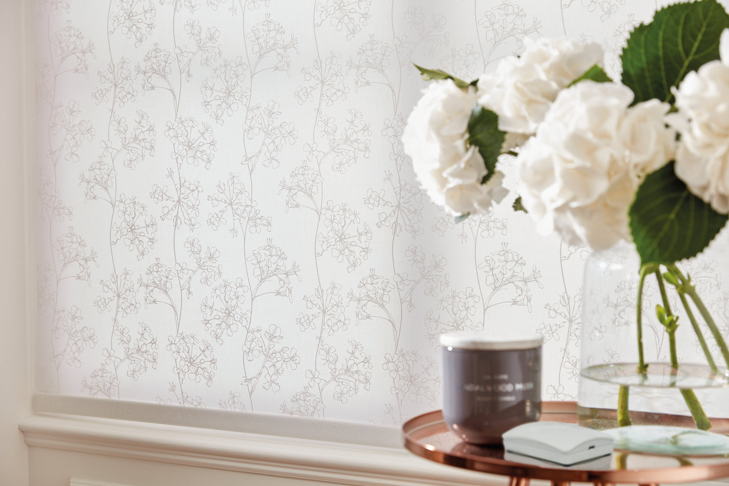 Smart Home Hubs & Wi-Fi