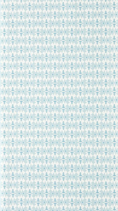NPOP113410